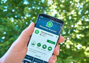 Tecnologia:  WhatsApp Business é ferramenta essencial para empresas