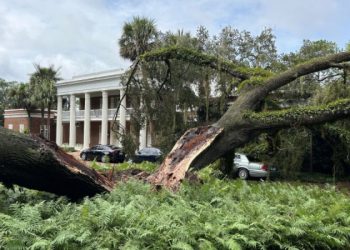 Clima: Furacão Idalia derruba árvore de 100 anos sobre mansão do governador da Flórida