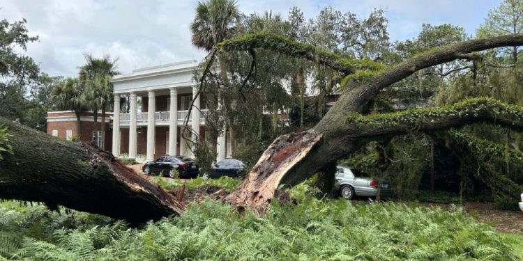 Clima: Furacão Idalia derruba árvore de 100 anos sobre mansão do governador da Flórida