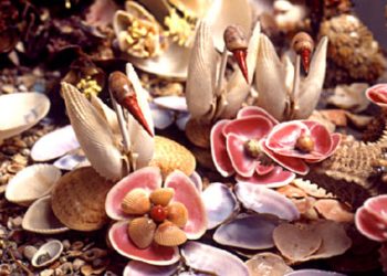 Piúma: Deputado Sergio Meneguelli quer oficializar o município como “Cidade das Conchas”