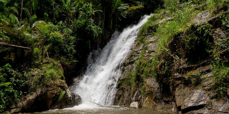 Rio Novo: Inscrições abertas para curso gratuito Técnicas de Guiamento em Atrativos Naturais