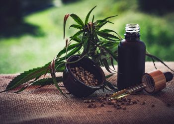 Brasil: Congresso discute uso de cannabis medicinal para tratamento da dor