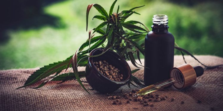 Brasil: Congresso discute uso de cannabis medicinal para tratamento da dor