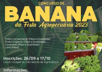 Iconha: Concurso de Banana na Festa Agropecuária