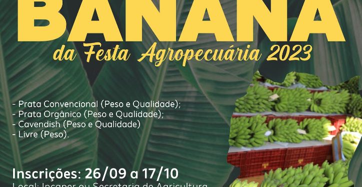 Iconha: Concurso de Banana na Festa Agropecuária