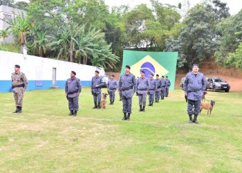Polícia: PM forma 18 novos condutores de cães policiais