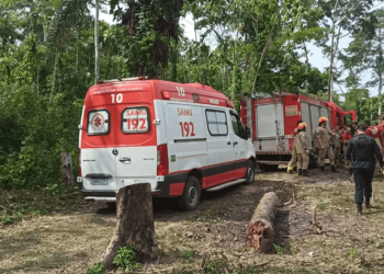 Brasil: Queda de avião deixa 12 mortos no Acre