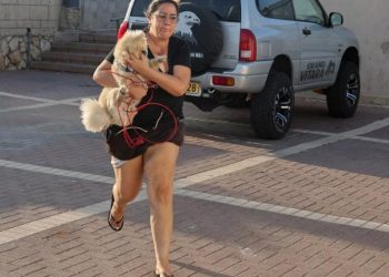 Brasil: Governo Federal facilita resgate de cães e gatos de cidadãos repatriados
