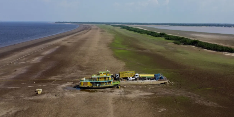 Amazonas: Rio Negro volta a subir após seca recorde