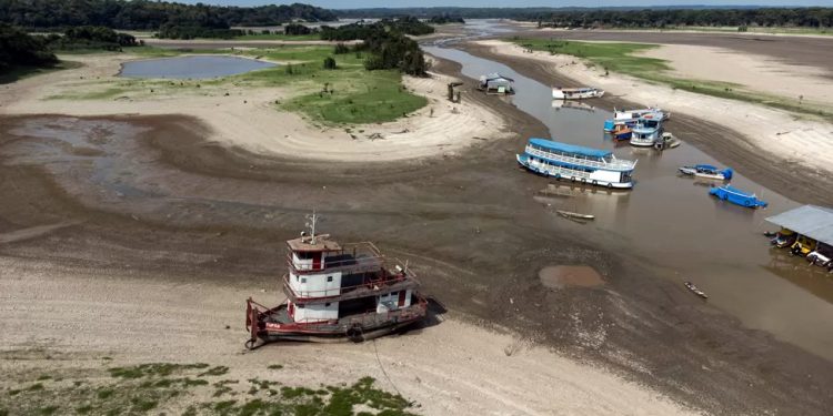 Seca: Barcos encalhados e peixes mortos na Amazônia