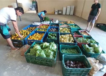 Alfredo Chaves: Começa a seleção pública de agricultores para aquisição de alimentos do PAA