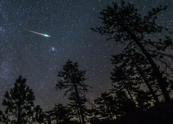 Fenômeno: Chuva de meteoros Leônidas acontece na madrugada de sábado (18)
