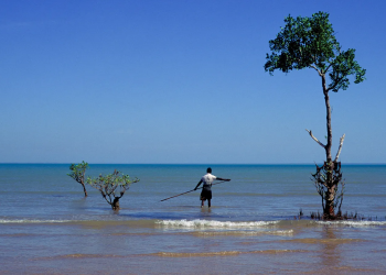 Mundo: Cientistas climáticos estão trabalhando com tribos indígenas