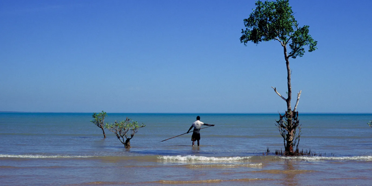 Mundo: Cientistas climáticos estão trabalhando com tribos indígenas