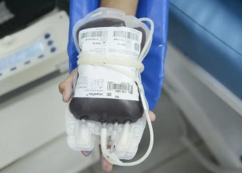 Saúde: Aplicativo facilita doações de sangue no Brasil