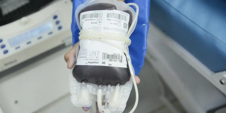 Saúde: Aplicativo facilita doações de sangue no Brasil