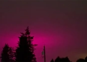 Canadá: Estufa de maconha deixa céu cor-de-rosa