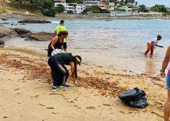 Guarapari: Meio Ambiente promove ação de limpeza nas praias da cidade