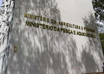 Fraude: Força-tarefa apreende mais de 6 mil garrafas de azeite falsificado