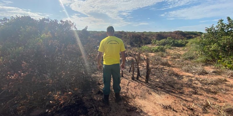 Guarapari: Parque Paulo César Vinha recebe ações de prevenção a incêndios