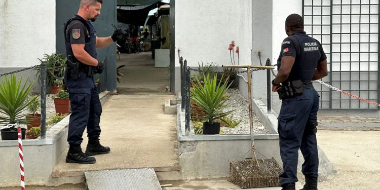 Portugal: Polícia faz operação contra tráfico de pessoas em fazendas