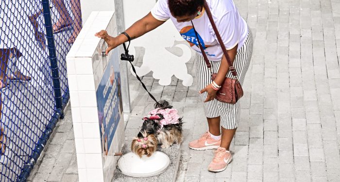 Vitória: Cãezinhos ganharão Pet Park com espaços reformados para diversão