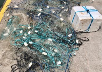 Vitória: Operação integrada apreende rede de pesca ilegal