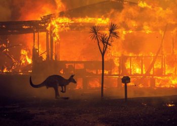 Clima: Austrália sufoca com onda de calor enquanto bombeiros combatem incêndios florestais