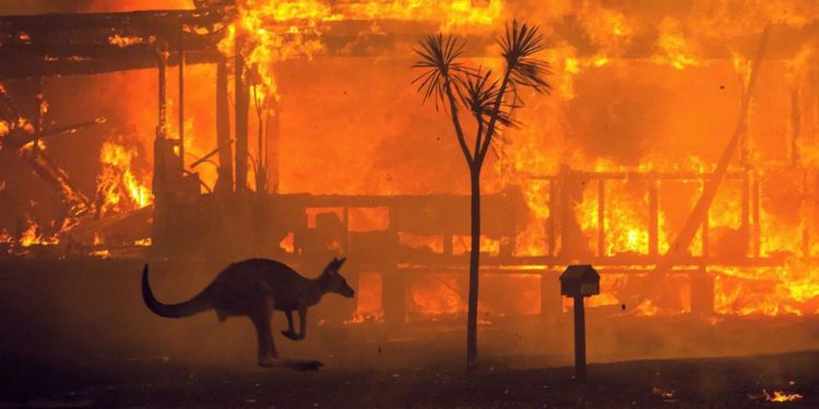 Clima: Austrália sufoca com onda de calor enquanto bombeiros combatem incêndios florestais