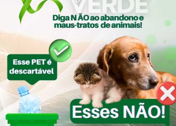 Itapemirim: Município adere ao Dezembro Verde contra o abandono e maus tratos aos animais