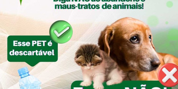Itapemirim: Município adere ao Dezembro Verde contra o abandono e maus tratos aos animais