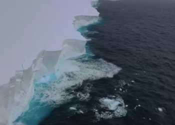 Meio ambiente: Maior iceberg do mundo tem quase 1 trilhão de toneladas