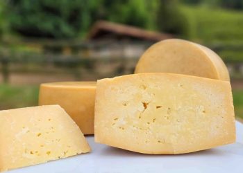 Turismo: Queijos da Mantiqueira conquistam 7 medalhas de ouro em concurso internacional