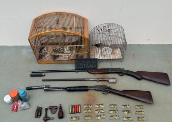 Rio Novo do Sul: Cotama apreende armas, munições e pássaro silvestre