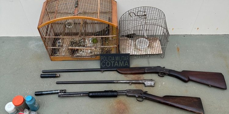 Rio Novo do Sul: Cotama apreende armas, munições e pássaro silvestre