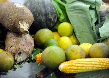 Saúde: 25% dos alimentos de origem vegetal no país têm resíduos de agrotóxicos