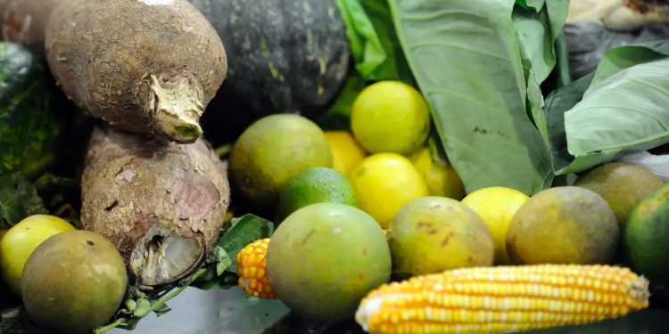 Saúde: 25% dos alimentos de origem vegetal no país têm resíduos de agrotóxicos