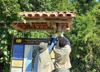 Espírito Santo: Iema divulga selecionados para o Programa de Voluntariado no Parque Estadual de Itaúnas