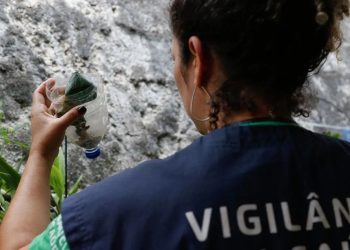 Saúde: Casos de dengue em 2024 mais que triplicam em relação ao início de 2023 no Brasil