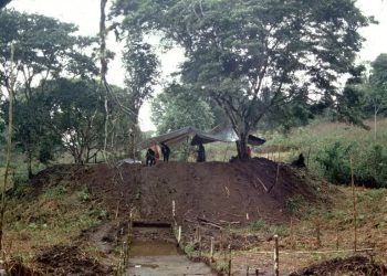 Ciência: Enorme cidade perdida antiga encontrada na Amazônia
