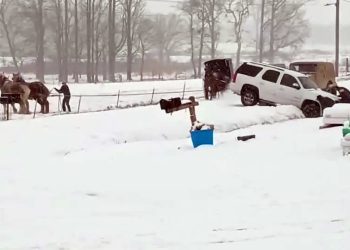 EUA: Tempestade de neve e frio extremo deixam 55 mortos