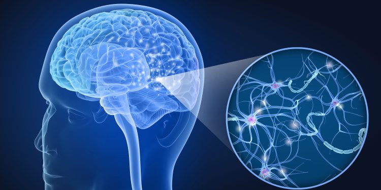 Saúde: Cientistas desvendam o mistério de como o gene da esclerose múltipla se espalhou