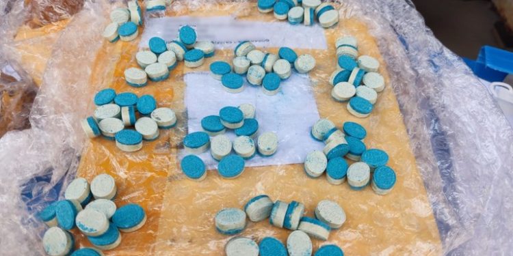 Guarapari: Cães farejadores da PF identificam ecstasy em pacote nos Correios