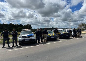 Polícia: Polícia Militar e PRF fazem operação conjunta para inibir crimes em transportes coletivos na BR 101