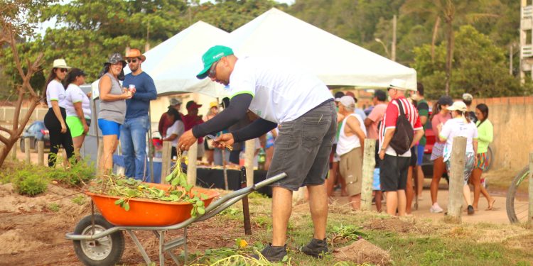 Piúma: Meio Ambiente promove replantio de vegetação de restinga na Praia Maria Neném