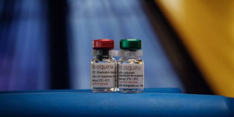 Mundo: Camarões inicia o primeiro programa mundial de vacinação contra a malária para crianças