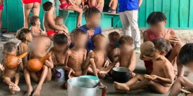 Brasil: Garimpo ilegal ainda ameaça saúde em território Yanomami