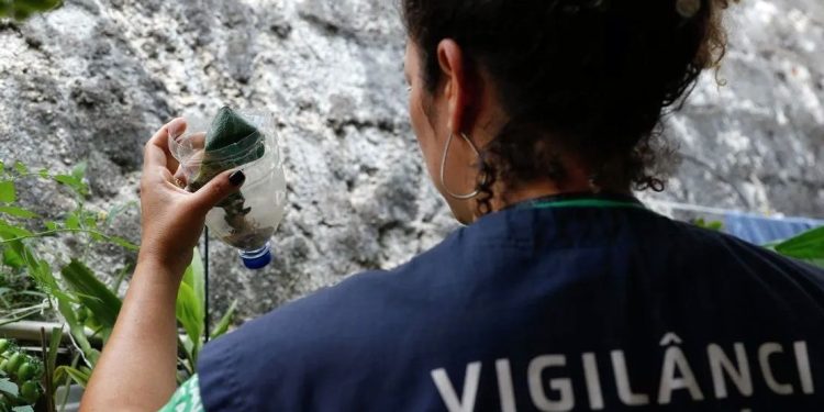 ‘Dia D’: Saúde convoca população e autoridades para participação coletiva na ação nacional em combate à dengue