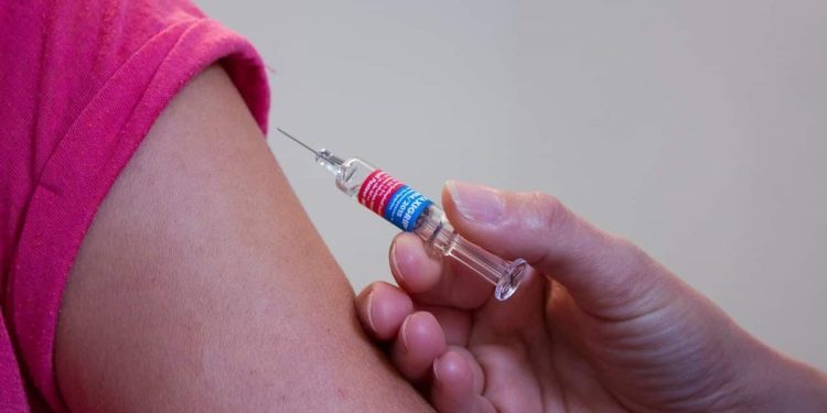 Espírito Santo: Estado recebeu a primeira remessa de doses de vacina contra dengue na quinta-feira (22)
