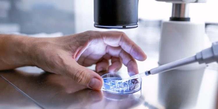 EUA: Hospital do Alabama interrompe a fertilização in vitro depois que o tribunal decide que embriões congelados são crianças